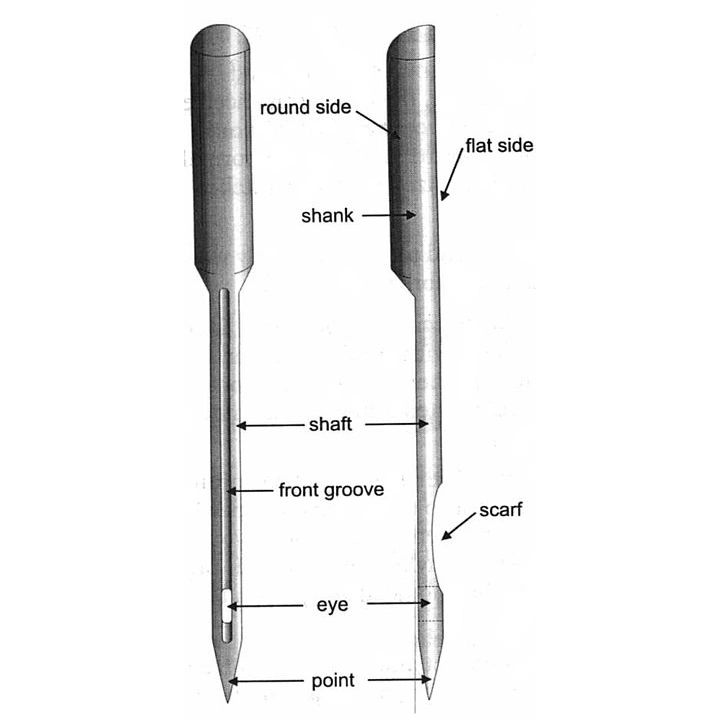 needle anatomy